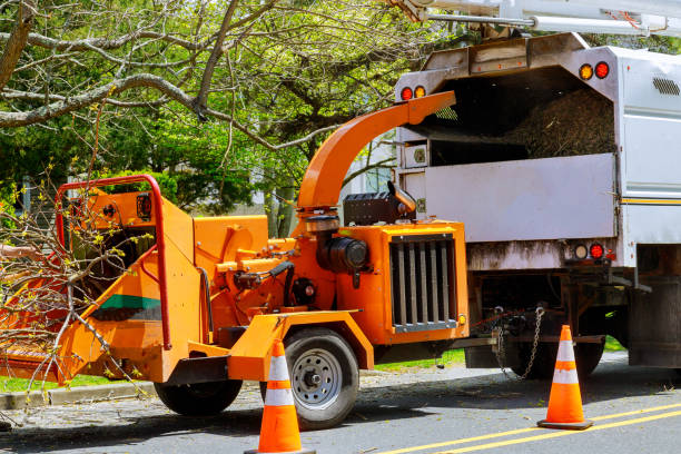 Best Stump Grinding and Removal  in La Vale, MD